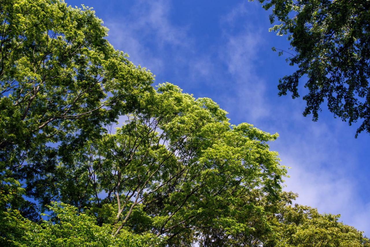 Hauska Karuizawa Hotel Saku Buitenkant foto
